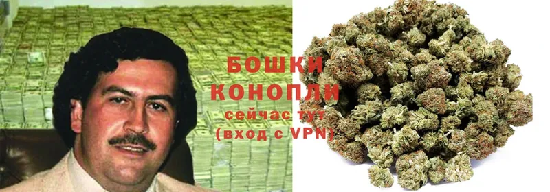 Конопля SATIVA & INDICA  Курган 